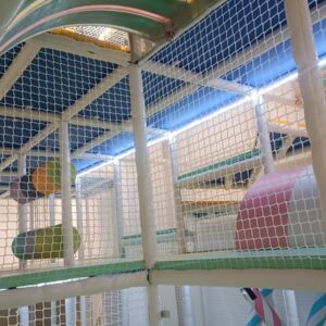 WhatsApp Image 2026-02-17 at 3.32.37 PM (2)